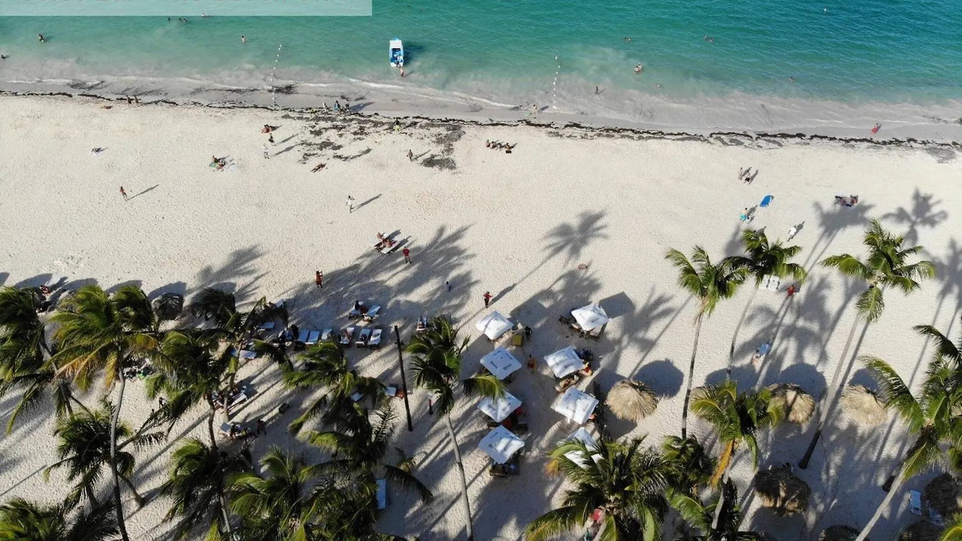 Tropical Garden With Picuzzi In Playa Bavaro Apartment Punta Cana 0*,