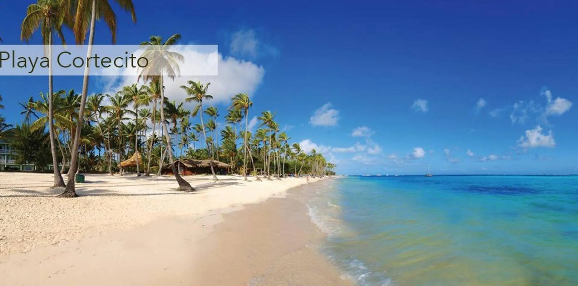 Tropical Garden With Picuzzi In Playa Bavaro Apartment Punta Cana