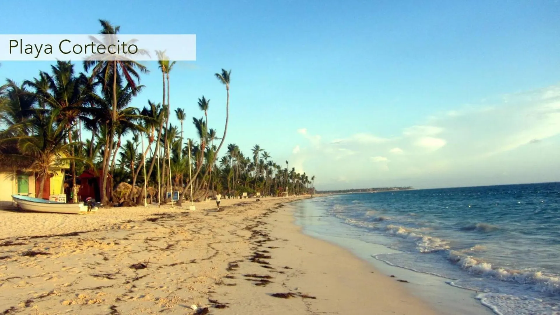 Tropical Garden With Picuzzi In Playa Bavaro Apartment Punta Cana 0*,  Dominican Republic
